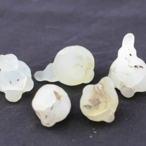 Wijoya Kusumo Flower Pearls