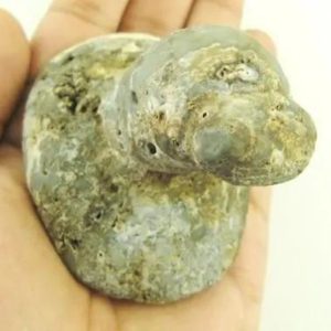 Siluman Horse