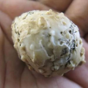 White Cobra Pearls