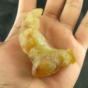 Dragon Horns