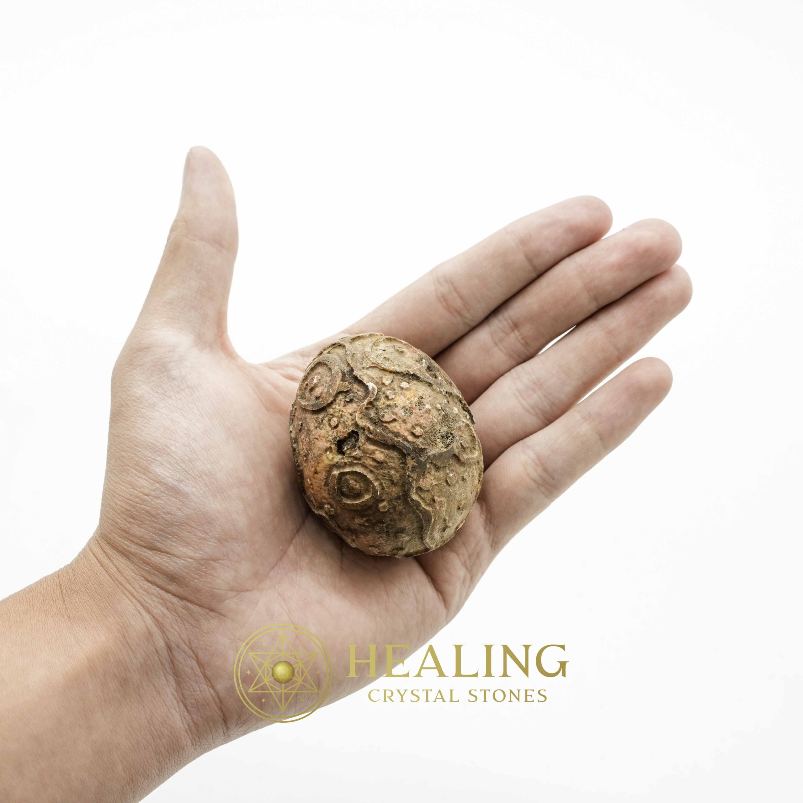 Crocodile Pearls - Type D Crystals Healing Bezoar Stones Animal Totem Stones, Power Animal Stones Ritual Power Stones Ritual Crystals Crystals Talismans Stones Talisman Crystals Amulet stones mystical shaman shamanic spiritual spiritualism metaphysics occult