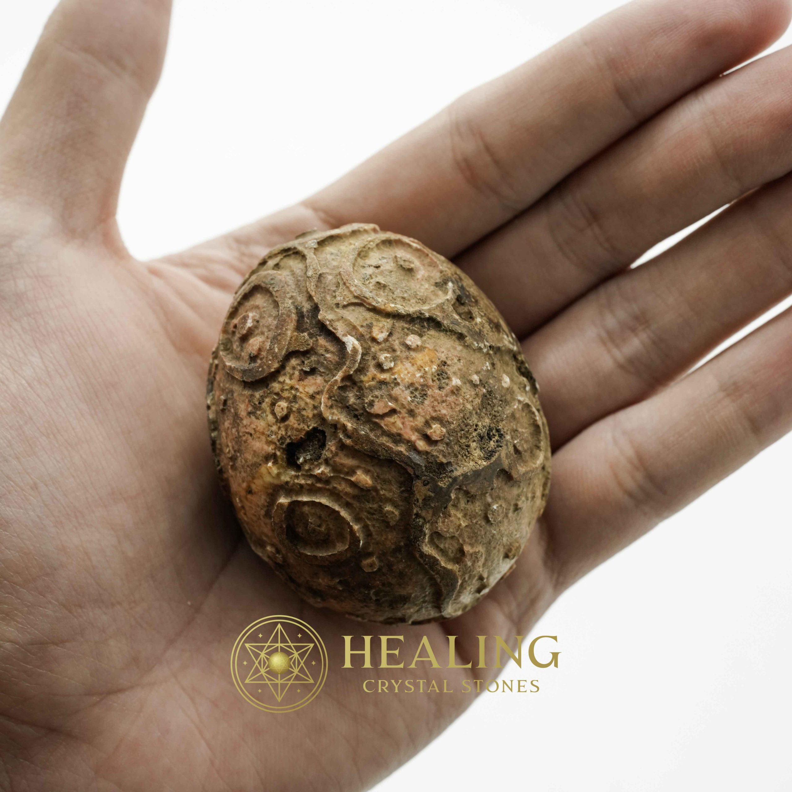 Crocodile Pearls - Type D Crystals Healing Bezoar Stones Animal Totem Stones, Power Animal Stones Ritual Power Stones Ritual Crystals Crystals Talismans Stones Talisman Crystals Amulet stones mystical shaman shamanic spiritual spiritualism metaphysics occult