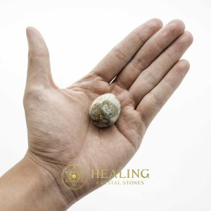 Crocodile Pearls - Type E Crystals Healing Bezoar Stones Animal Totem Stones, Power Animal Stones Ritual Power Stones Ritual Crystals Crystals Talismans Stones Talisman Crystals Amulet stones mystical shaman shamanic spiritual spiritualism metaphysics occult