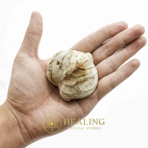 Fossil Leaf - Type E - Spiritual Crystals Bezoar Stones Bezoar Crystals Healing Bezoar Stones Animal Totem Stones, Power Animal Stones Magical Stones Magickal Stones Magickal Crystals Ritual Power Stones Ritual Crystals mystical shaman shamanic spiritual spiritualism metaphysics occult psychic