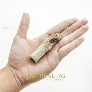 Fossilized Bamboo - Type A3 - ceremonial crystals, ceremonial stones, mystical crystals, spiritual healing stones, energy crystals, metaphysical stones, sacred stones, ritual crystals, protective stones, enchanted crystals