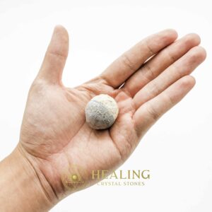 King Cobra Pearl Banyuwangi (Small) - Type A3 - Bezoar Crystals, Sacred Healing Stones, Spiritual Magic, Crystal Rituals, Psychic Energy Charms, Mystic Talismans, Ancient Totems, Ritual Power Crystals, Occult Wisdom, Healing Relics