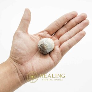 King Cobra Pearl Banyuwangi (Small) - Type A5 - Crystal Healing Stones, Shamanic Ritual Power, Spiritual Talismans, Psychic Totems, Mystical Relics, Sacred Energy Stones, Healing Bezoars, Ancient Crystal Magic, Animal Spirit Gems, Metaphysical Rituals