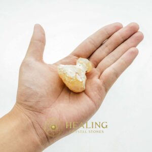 Fossilized Turmeric - Type A2 (WHITE) - Crystal Stones, Mustika Stones, Amulet Stones, Healing Stones, Magical Stones, Ritual Crystals, Bezoar Crystals, spiritual, psychic, artifact