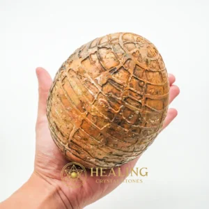 Mountain Belt Pearl - Type A1.1 (Egg Shape) - Healing Crystals, Crystal Stones, Energy Stones, Mysticism, Balance, Fortune, Protection, Antique, Unique, Authentic