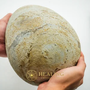 Telor Jagad Pearl - Type A1 - Healing Crystals, Crystal Stones, Animal Totem Stones, Aura, Chakra, Fortune, Positive Energy, Sacred, Authentic, Rare
