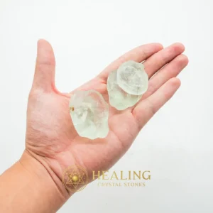 Fossilised Dugong Tear Pearls - Type A (Fractured) - Spiritualism, Spritual, Metaphysics, Mysticism, Psychic, Occult, Esoteric Stone, Esoteric Crystal, Esoteric Artifact, Mystical
