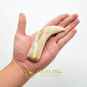 Fossilized Agarwood Gaharu - Type I2 (TIGER GAHARU) - Nature Crystal, Nature Stone, Earth Spirit Stone, Spirit Stone, Spirit Crystal, Guardian Stone, Guardian Crystal, Sacred, Divine, Mystical