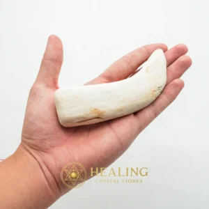 Fossilized Agarwood Gaharu - Type K (CROCODILE GAHARU) - Occult Artifact, Esoteric Artifact, Esoteric Stone, Esoteric Crystal, Ancient Relic, Mystical Relic, Relic, Artifact, Psychic, Metaphysics