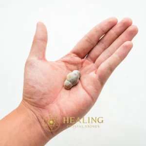 Rooster Horns - Type C4 - Bezoar Crystals, Healing Bezoar Stones, Energy Shield Crystal, Negative Energy Protection, Aura Cleansing Stone, Guardian Stone, Cleansing, Harmony, Protection, Aura