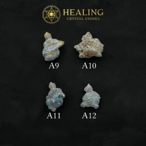 Semar Mesem Fossil (Small) A9 - A12 - Bezoar Stones, Mustika Pearls, Sacred Crystals, Universal Energy, Meditation, Fortune, Exotic, Unique, Antique, Aura